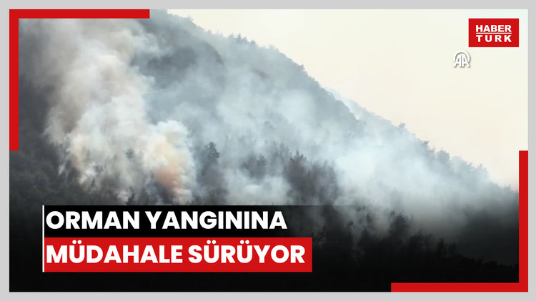Orman yangınına müdahale sürüyor