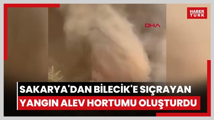 Sakarya'da başlayıp Bilecik'e sıçrayan yangın alev hortumu oluşturdu