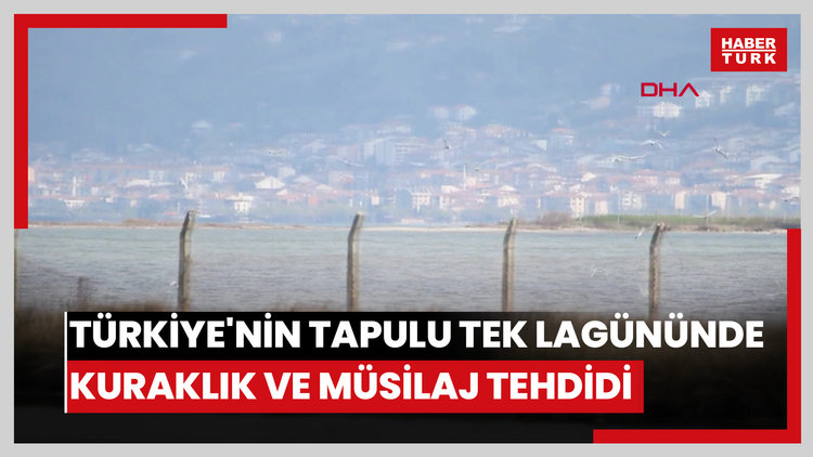 Türkiye'nin tapulu tek lagününde kuraklık ve müsilaj tehdidi