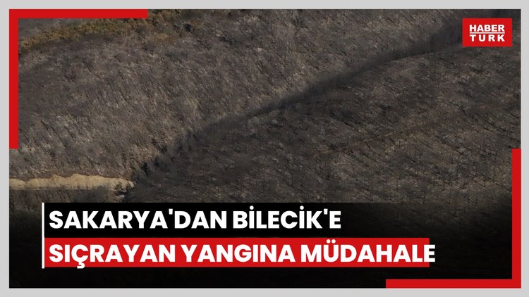 Bilecik'te orman yangını