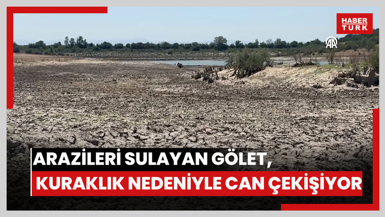 Bursa'da 43 senedir arazileri sulayan gölet, kuraklık nedeniyle can çekişiyor