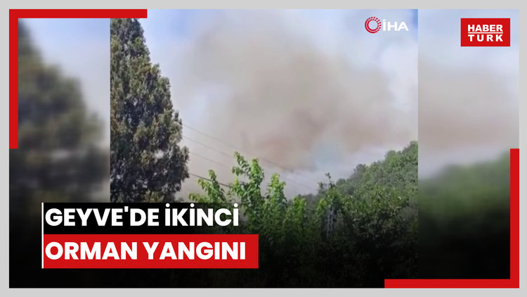 Geyve'de ikinci orman yangını