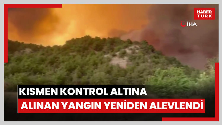 Bilecik'te kısmen kontrol altına alınan yangın yeniden alevlendi