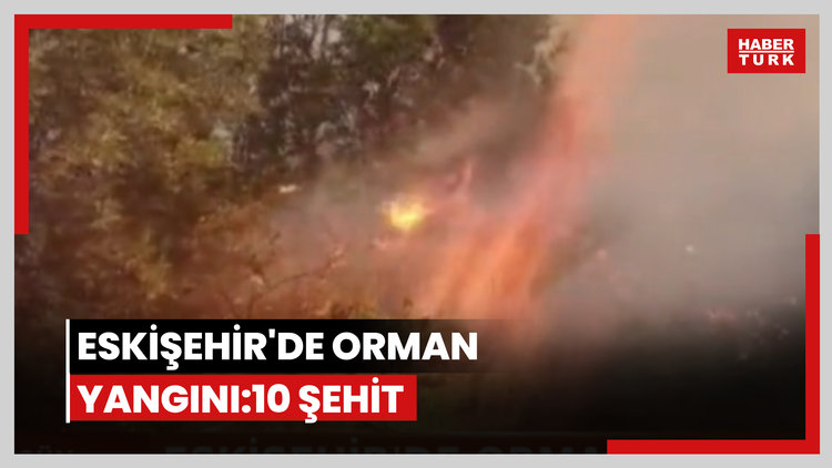 Eskişehir'deki yangında 5'i orman işçisi, 5'i AKUT çalışanı 10 kişi şehit oldu