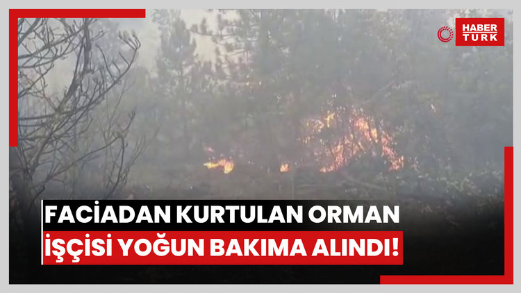 Faciadan kurtulan orman işçisi yoğun bakıma alındı!