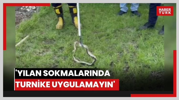 'Yılan sokmalarında turnike uygulamayın'