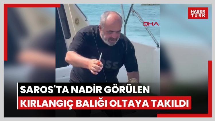 Saros'ta nadir görülen kırlangıç balığı oltaya takıldı