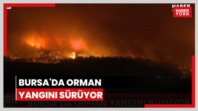Bursa'da yangın büyüyor