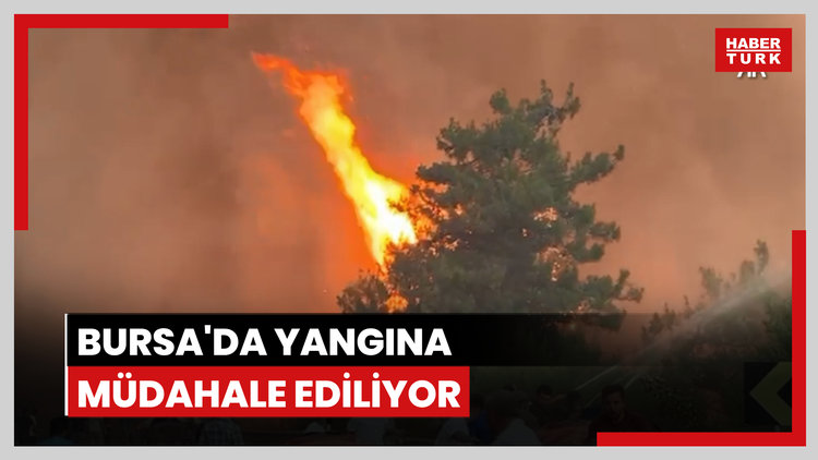 Bursa'daki yangına müdahale ediliyor