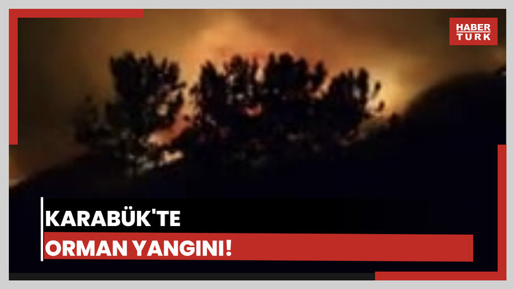 Karabük'teki orman yangını