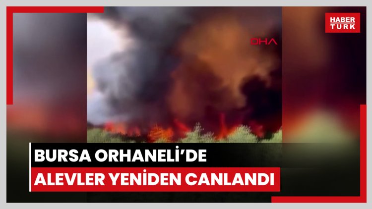 Bursa Orhaneli'de alevler yeniden canlandı