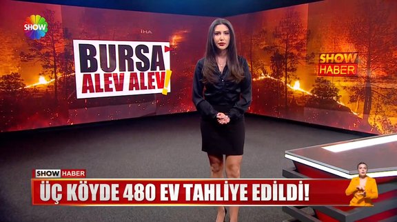 Yeşil Bursa alevlere teslim...