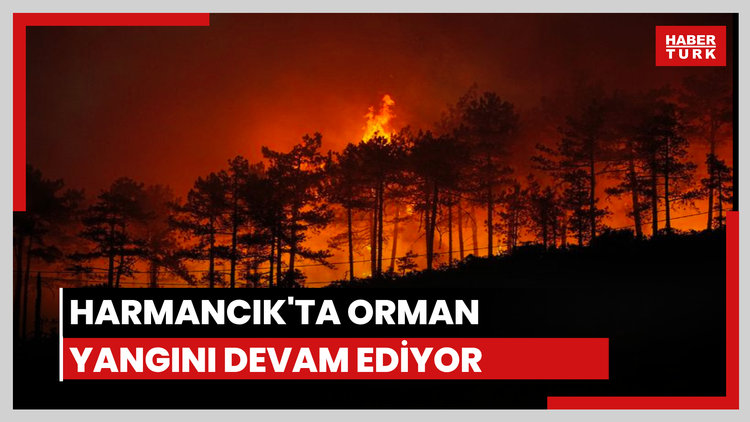 Bursa Harmancık'ta orman yangını devam ediyor