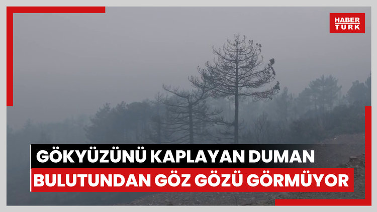 Bursa'daki orman yangını 3. gününde... Gökyüzünü kaplayan duman bulutundan göz gözü görmüyor