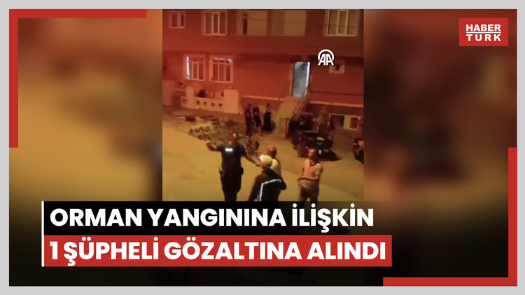 Orhaneli ve Harmancık ilçeleri arasındaki orman yangınına ilişkin 1 şüpheli gözaltına alındı