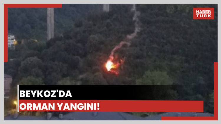 İstanbul'da orman yangını!