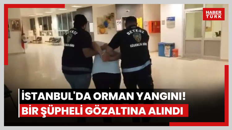 İstanbul'da orman yangını! Bir şüpheli gözaltına alındı