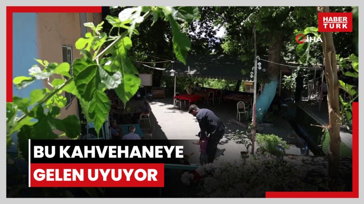 Bu kahvehaneye gelen uyuyor