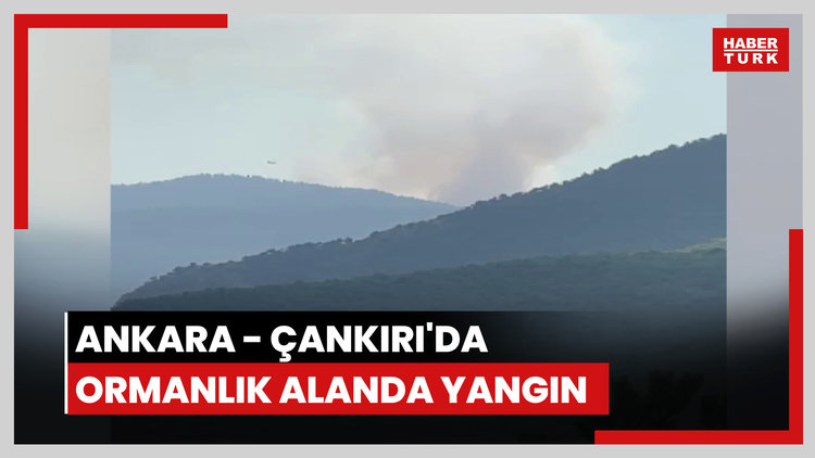 Ankara -Çankırı'nın Yapraklı ilçesindeki ormanlık alanda yangın