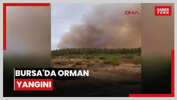 Bursa'da orman yangını