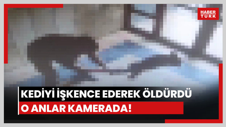 Kediyi tekmeleyerek öldüren kişiye soruşturma