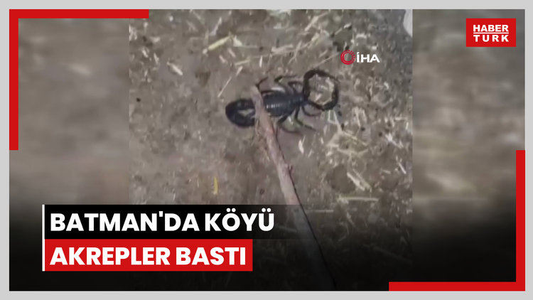 Batman'da köyü akrepler bastı, köylüler tedirgin