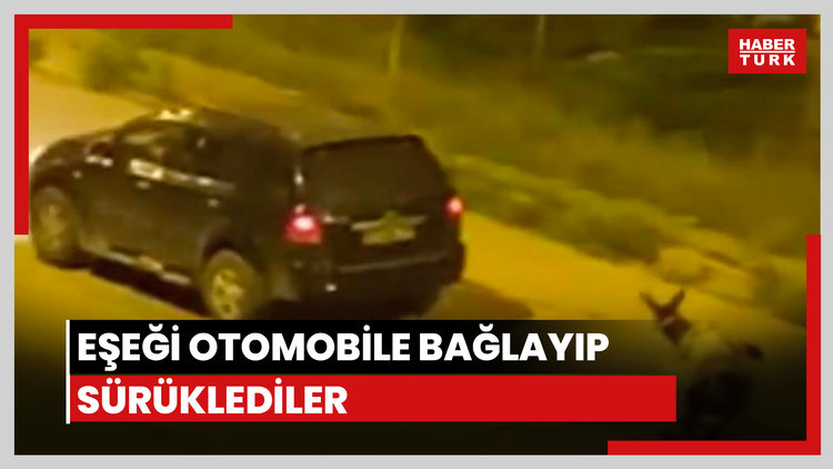 Eşeği otomobile bağladılar!