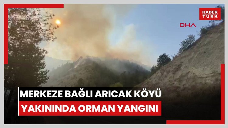 Merkeze bağlı Arıcak Köyü yakınında orman yangını