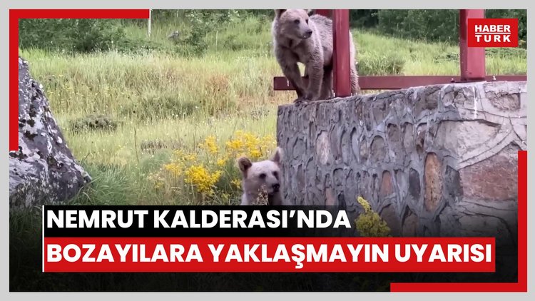 Nemrut Kalderasına gelen ziyaretçilere "bozayılara yaklaşmayın" uyarısı