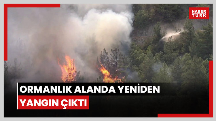 Ormanlık alanda yeniden yangın çıktı