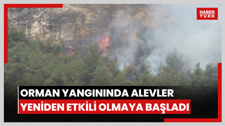 Karabük orman yangınında alevler yeniden etkili olmaya başladı