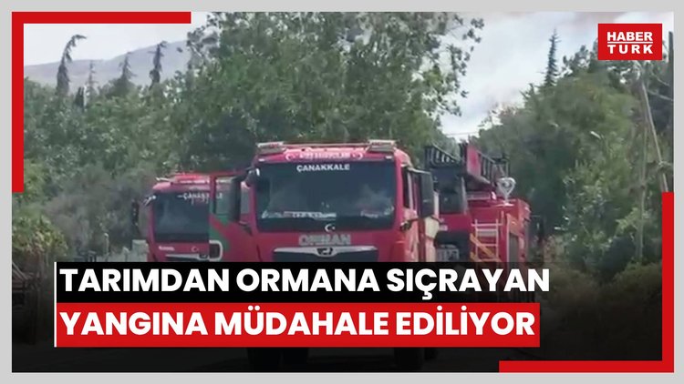 Çanakkale'de tarım arazisinde başlayıp ormana sıçrayan yangına müdahale ediliyor