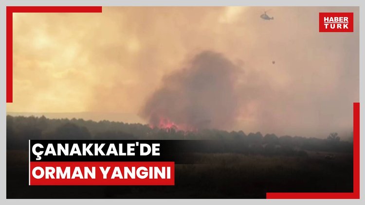 Çanakkale'de orman yangını