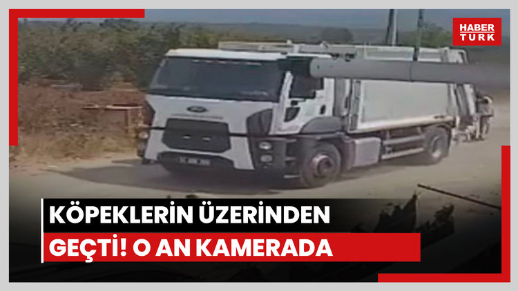 Köpeklerin üzerinden geçti!