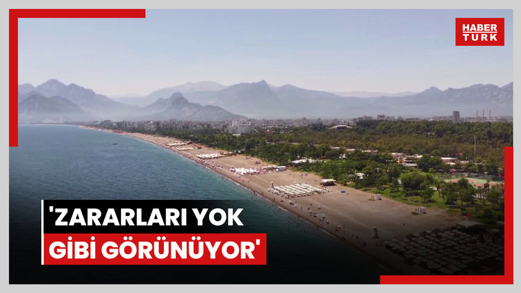 Akdeniz tropikalleşiyor; Kızıldeniz kökenli balık sayısı 72'ye ulaştı