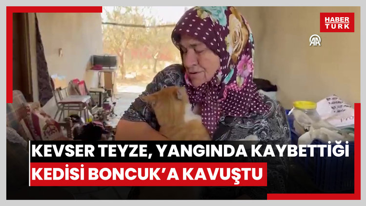 Çanakkalede orman yangınında kaybettiği kedisi "Boncuk"a kavuşan Kevser teyze mutlu oldu