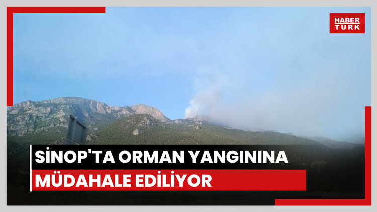 Sinop'ta orman yangını
