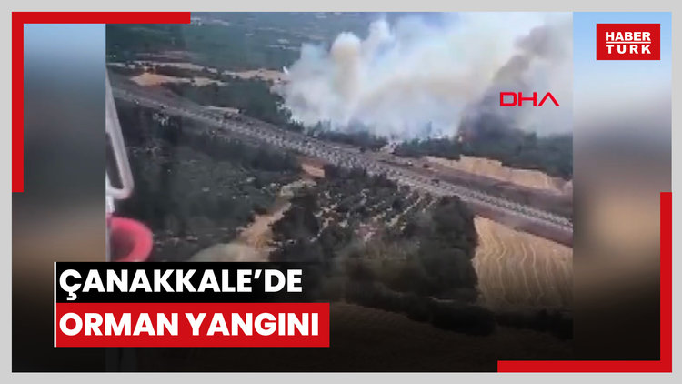 Çanakkale'de orman yangını
