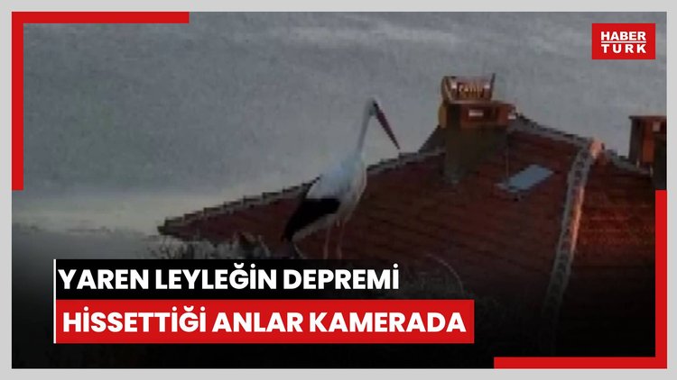 Yaren leyleğin depremi hissettiği anlar kamerada
