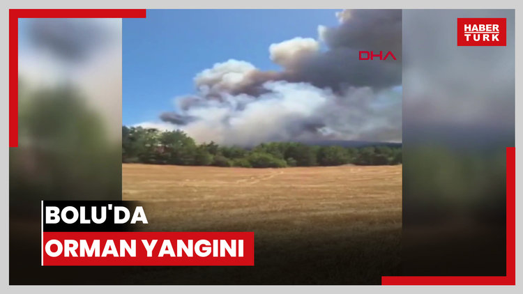 Bolu'da orman yangını