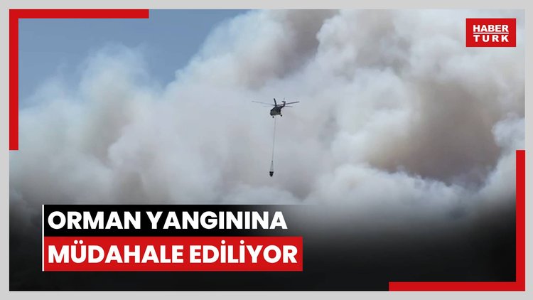 Orman yangınına müdahale ediliyor