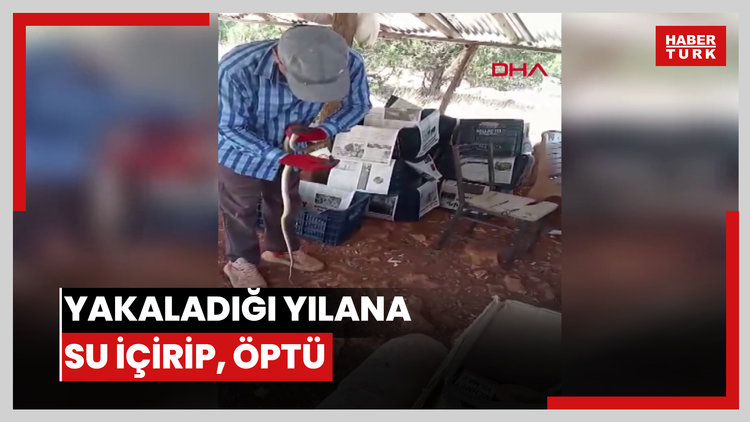 Yakaladığı yılana su içirip, öptü
