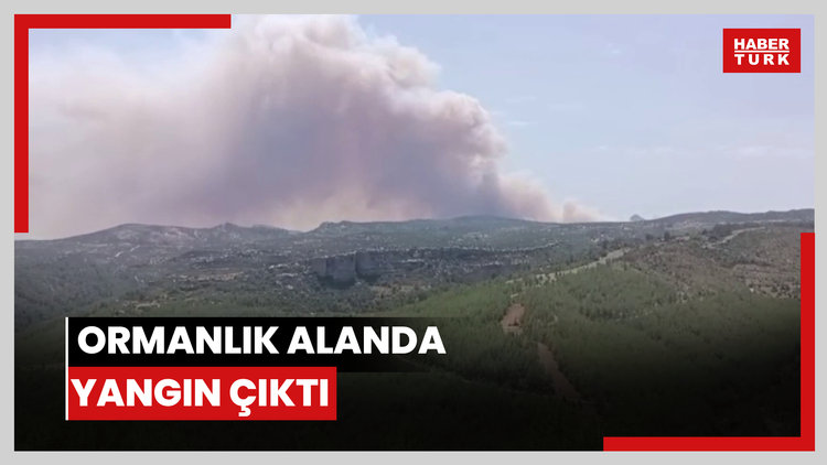 Ormanlık alanda yangın çıktı