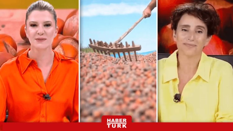 Fındığı Hem Don, Hem Kuraklık Vurdu! Üreticinin Beklentisi Ne?