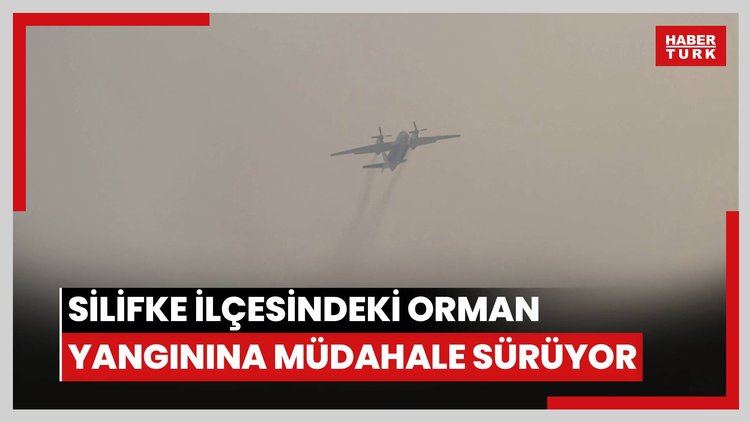 Silifke ilçesindeki orman yangınına müdahale sürüyor