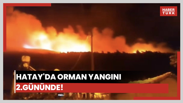Hatay'da orman yangını ikinci gününde