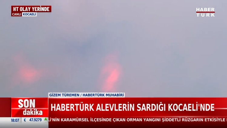 Kocaeli'de orman yangını