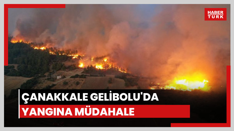 Çanakkale'nin Gelibolu ilçesinde orman yangını