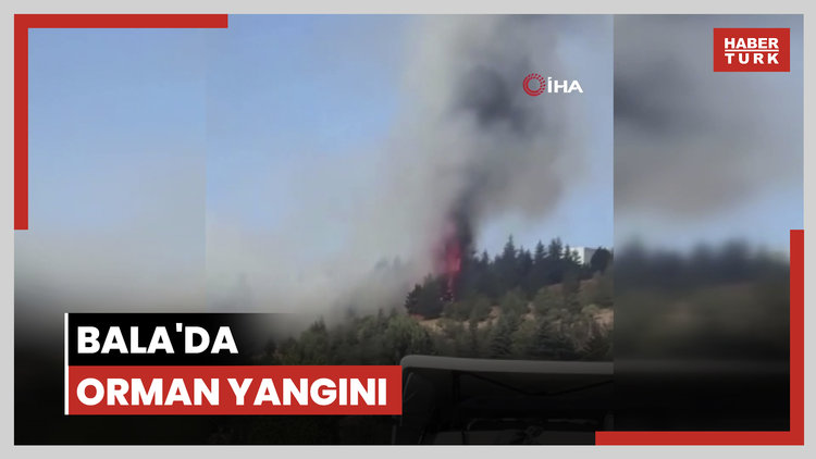 Bala'da orman yangını
