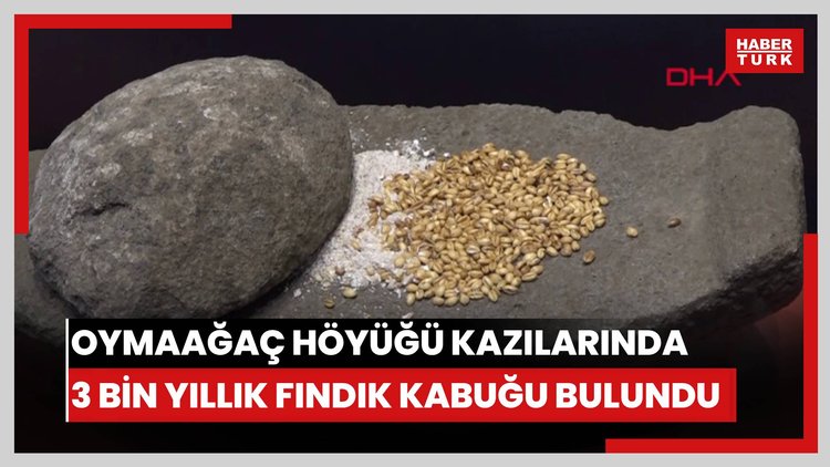Oymaağaç Höyüğü kazılarında 3 bin yıllık fındık kabuğu bulundu